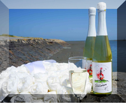 Party mit DJ Tiwi in Pellworm